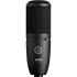 AKG P120 High-Performance Microphone